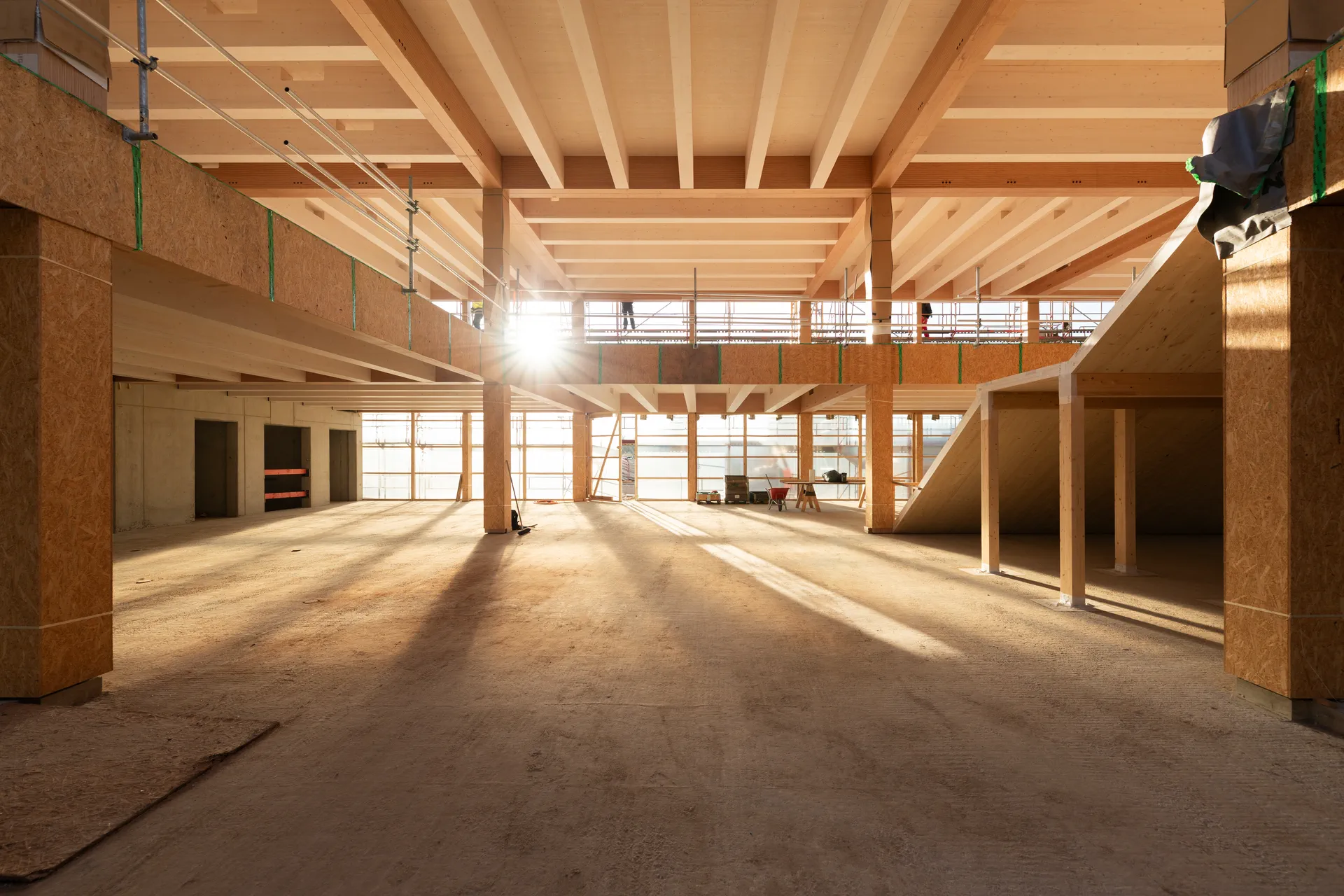 Shell of a multi-storey building with a structure in laminated veneer beech