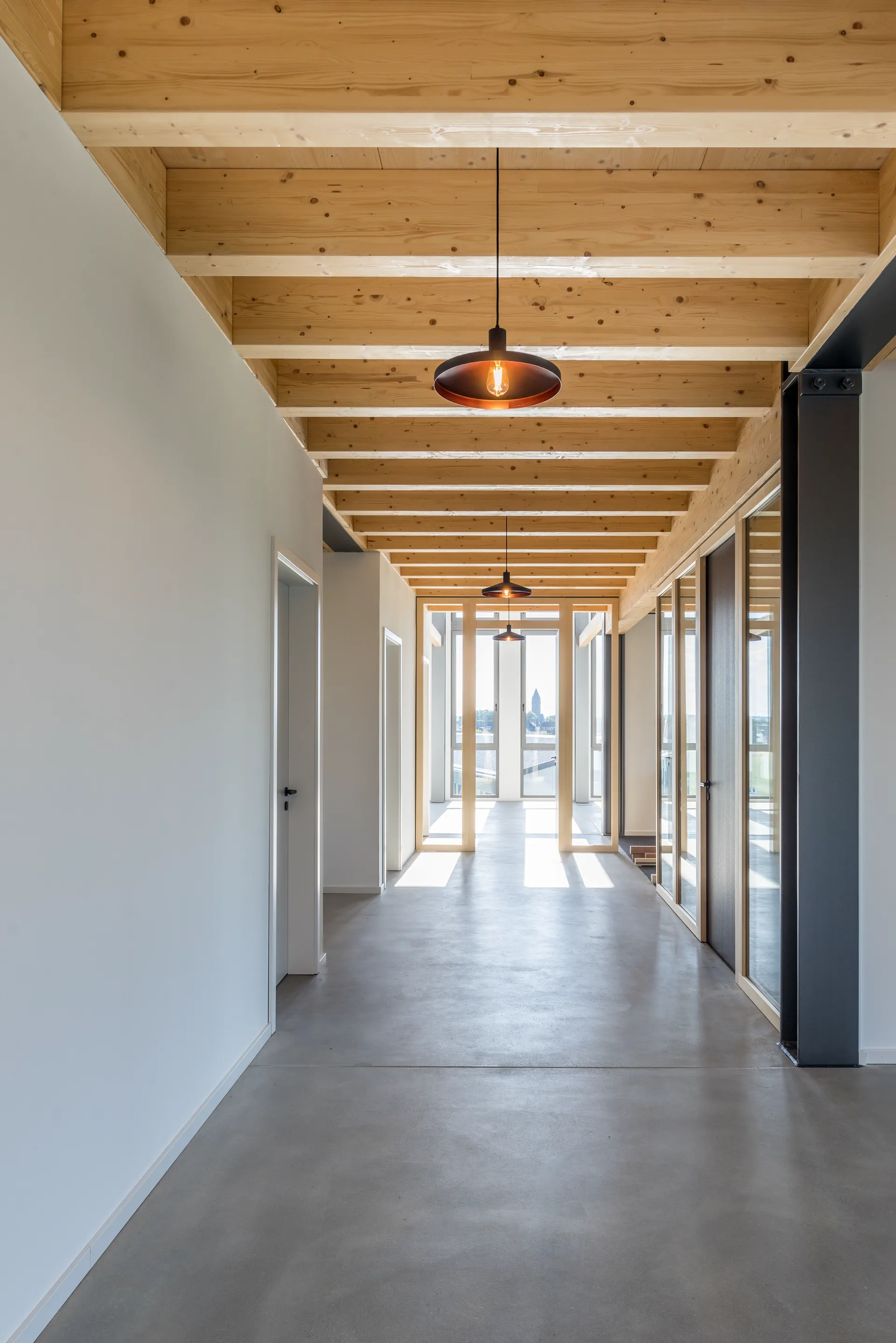 Office corridor in an X-Wood® building with a timber ceiling and glazed meeting rooms