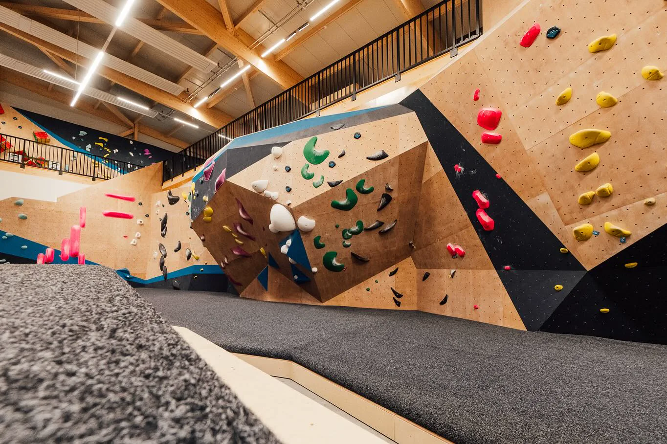 Timber sports hall with an exposed roof structure