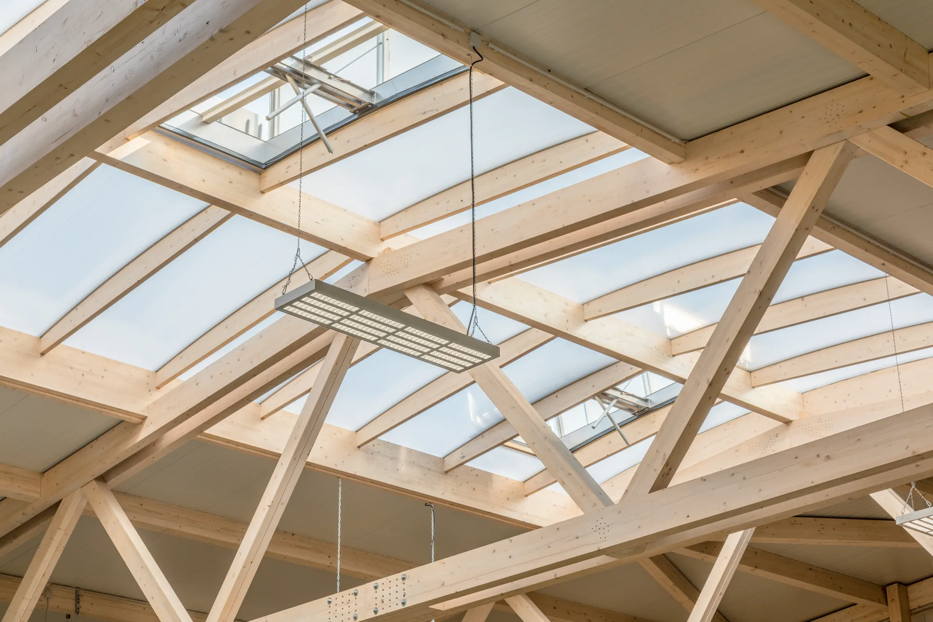 Bürogang in einer X-Wood®-Halle mit Holzdecke und verglasten Besprechungsräumen