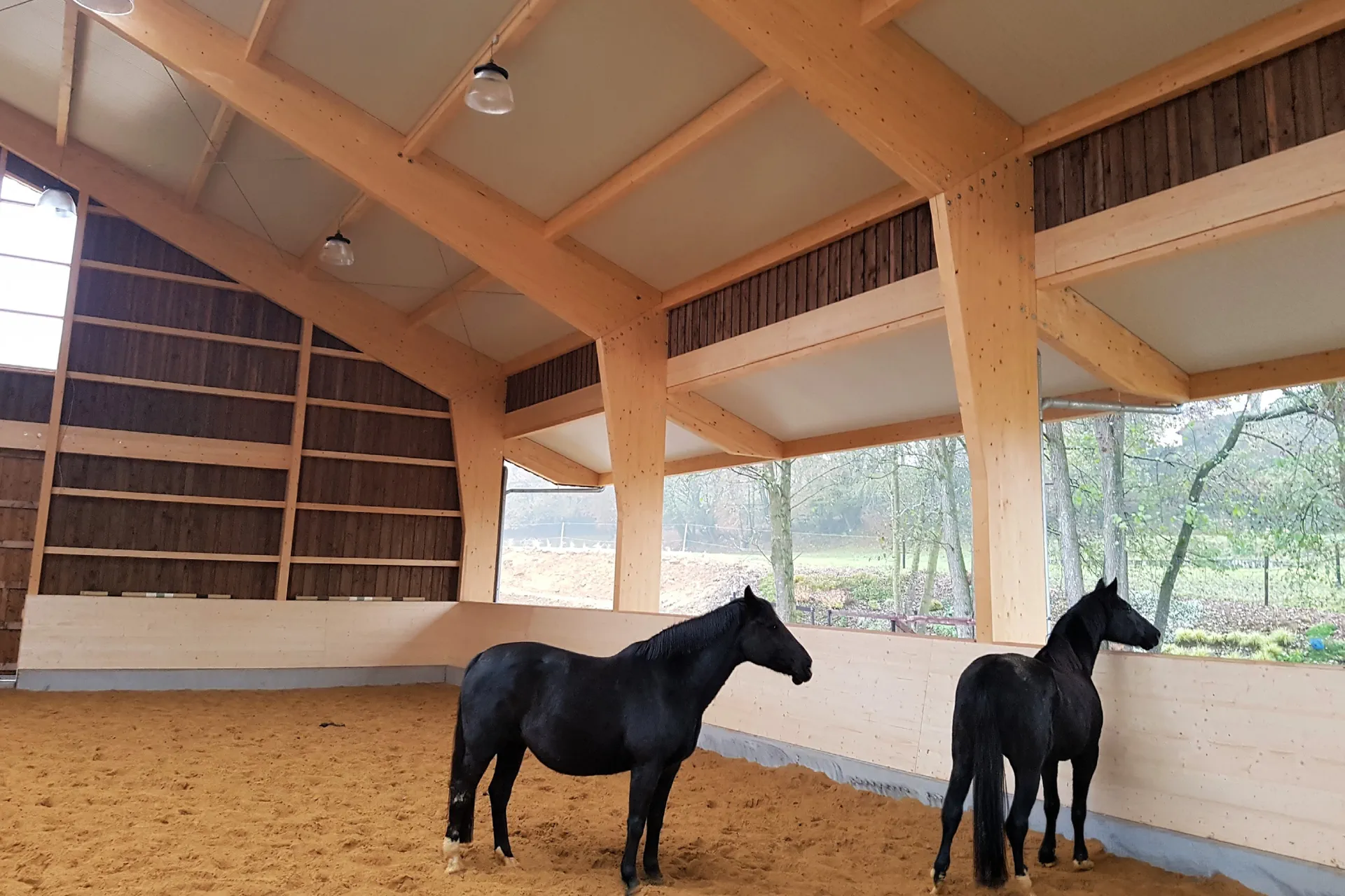 Riding arena with an exposed timber structure