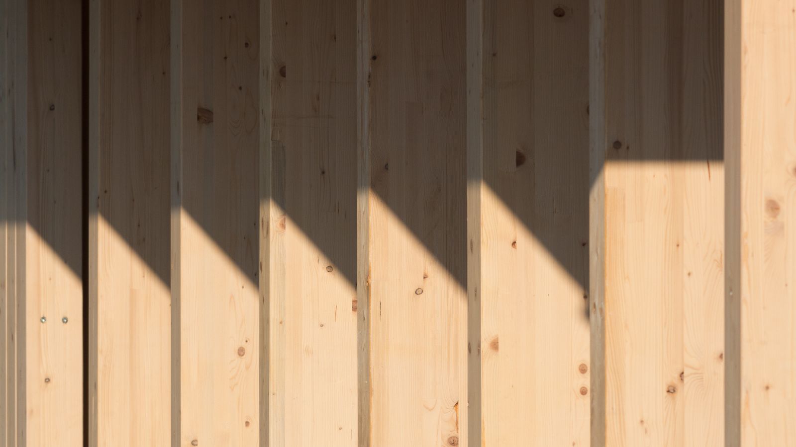 Detailaufnahme Freddy Hoffmann Schönberg