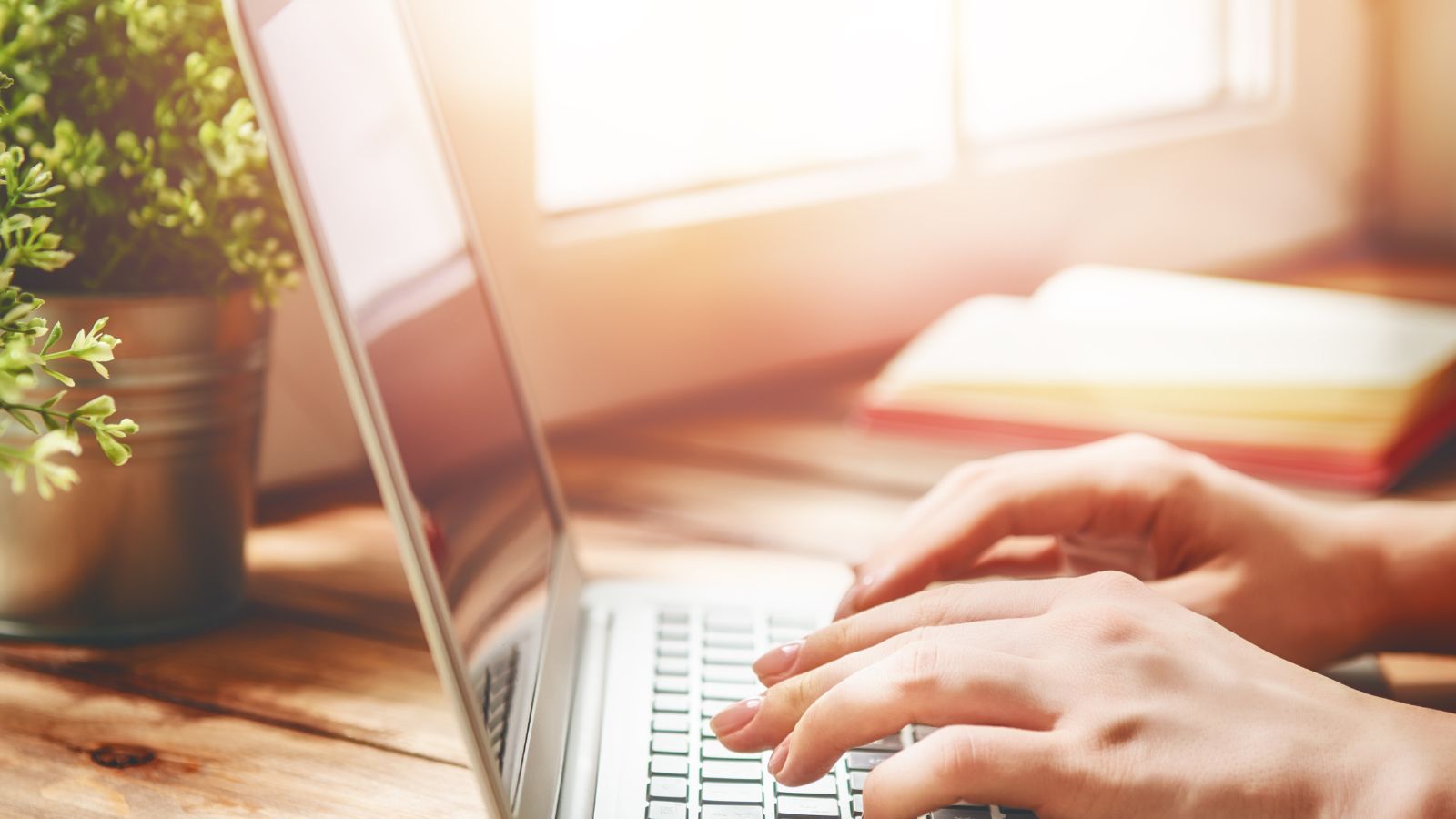 Person tippt auf einem Laptop – Symbolbild für die Online-Konfiguration einer Halle